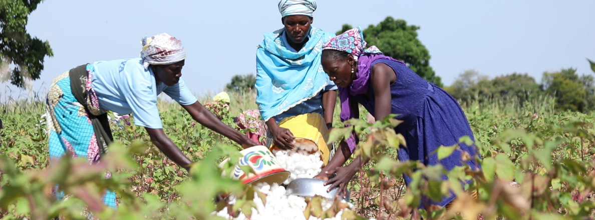 Bboxx country page_1188x440